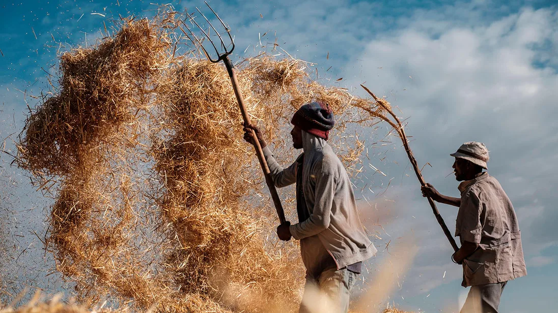 Agricultural Trade Fair