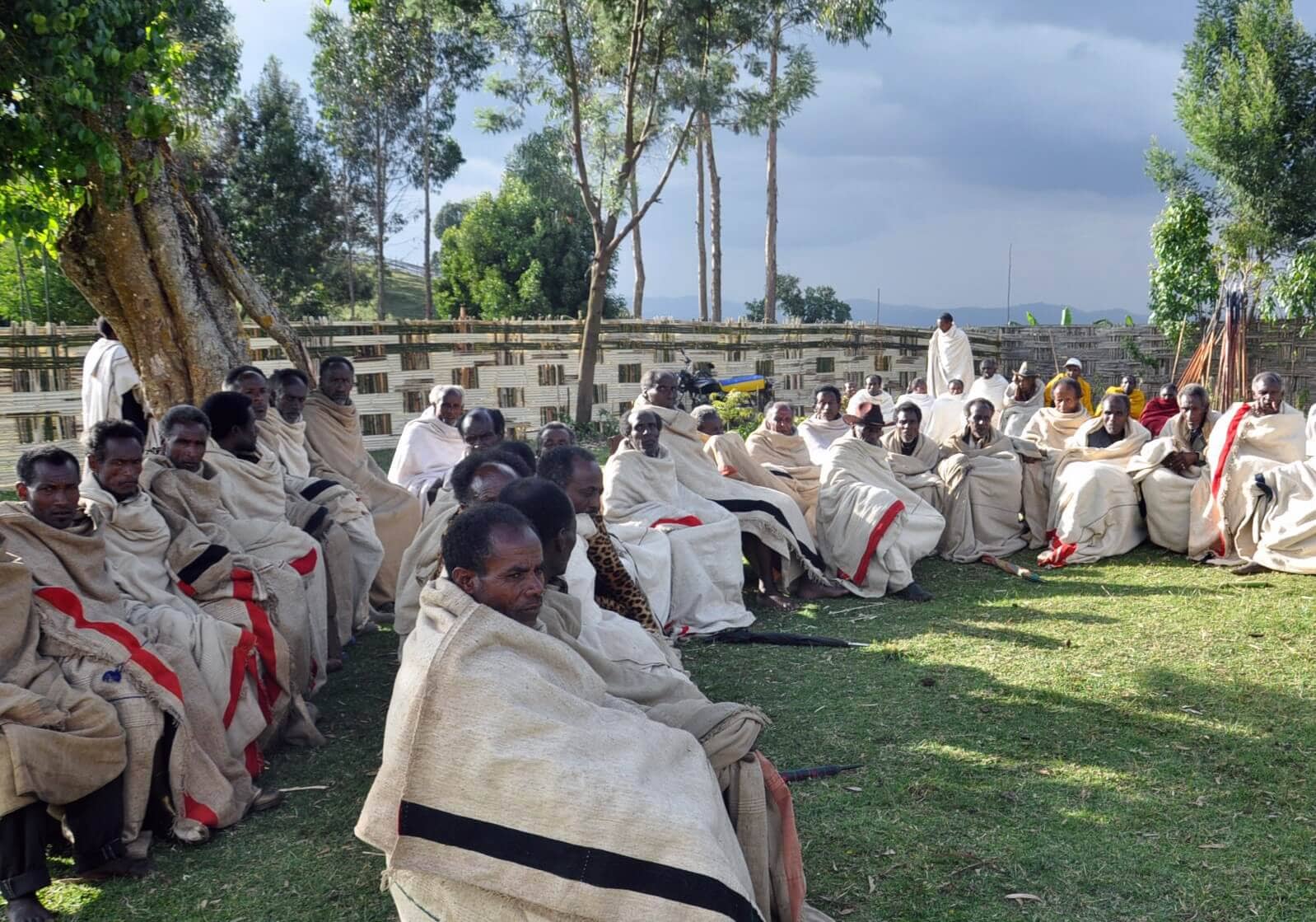 Sidama Cultural Festivals - Traditional music and dance celebrations